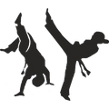 Logo_Capoeira-Schule-Duesseldorf